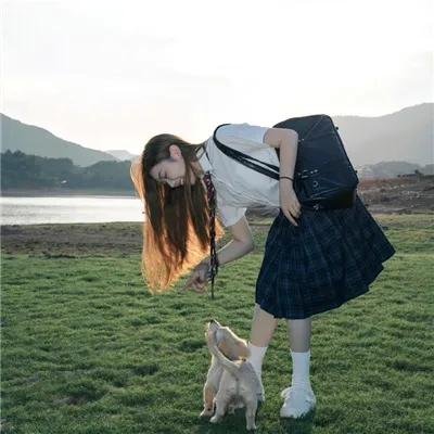 动物园先生